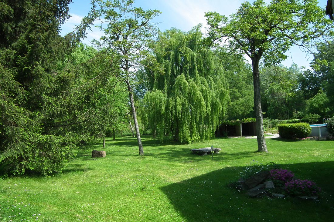 Parco del Fiume Mincio